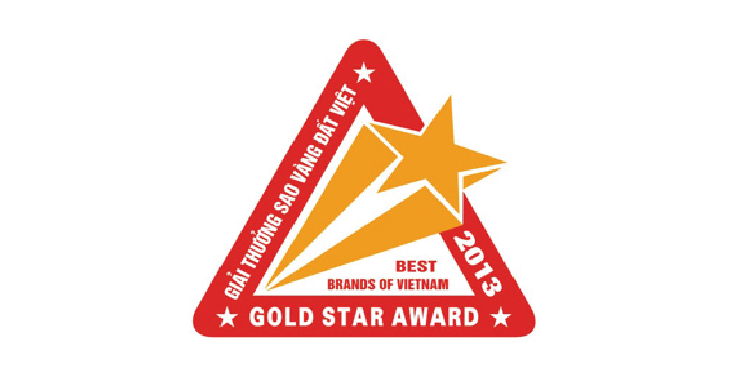 Top 100 Sao vàng đất Việt 2013