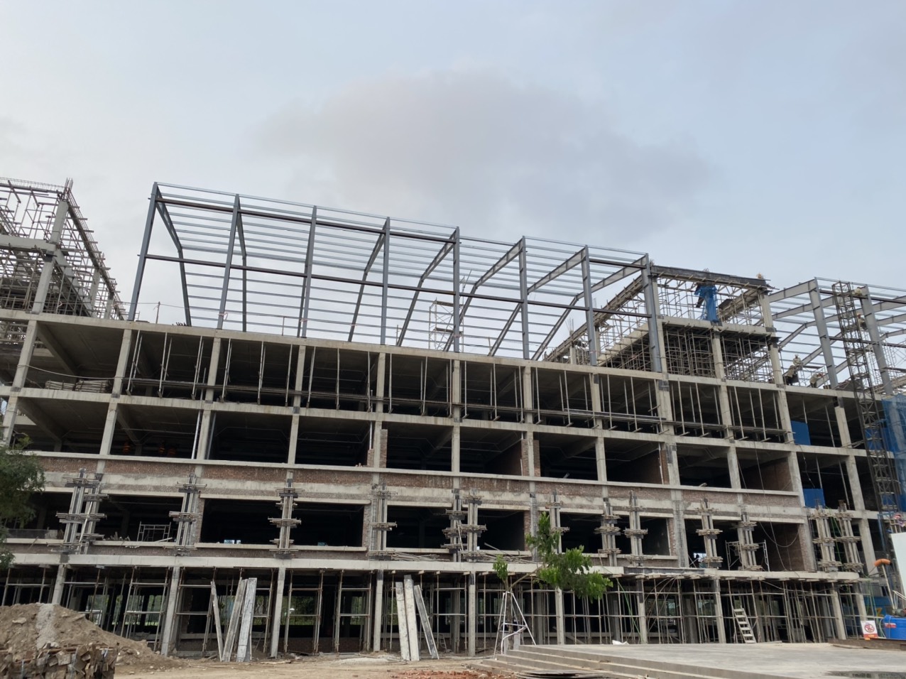 Trường tiểu học và trung học cơ sở Edison