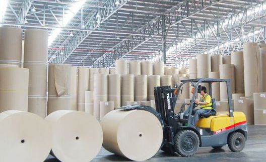Dự án Nhà máy Bột giấy Quảng Ngãi